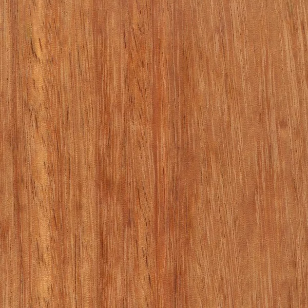 Ekzo Floor Кемпас