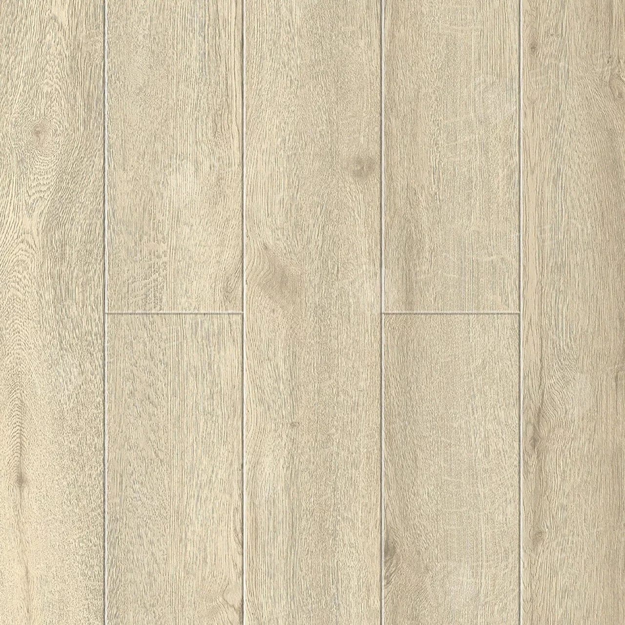 Ensten ECO 101-09 Карите